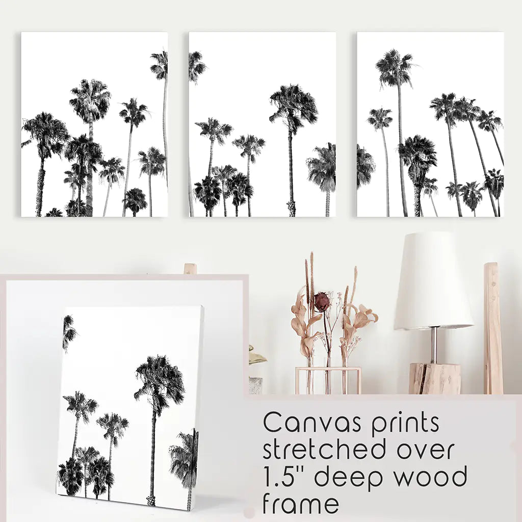 Black and White Palm Trees. Tropical Wall Art Set of 3 Prints