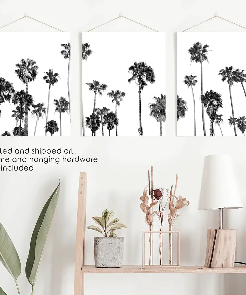 Black and White Palm Trees. Tropical Wall Art Set of 3 Prints
