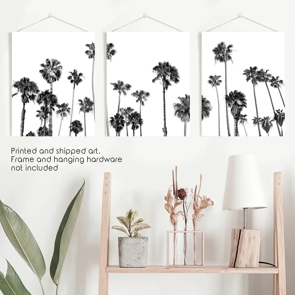 Black and White Palm Trees. Tropical Wall Art Set of 3 Prints