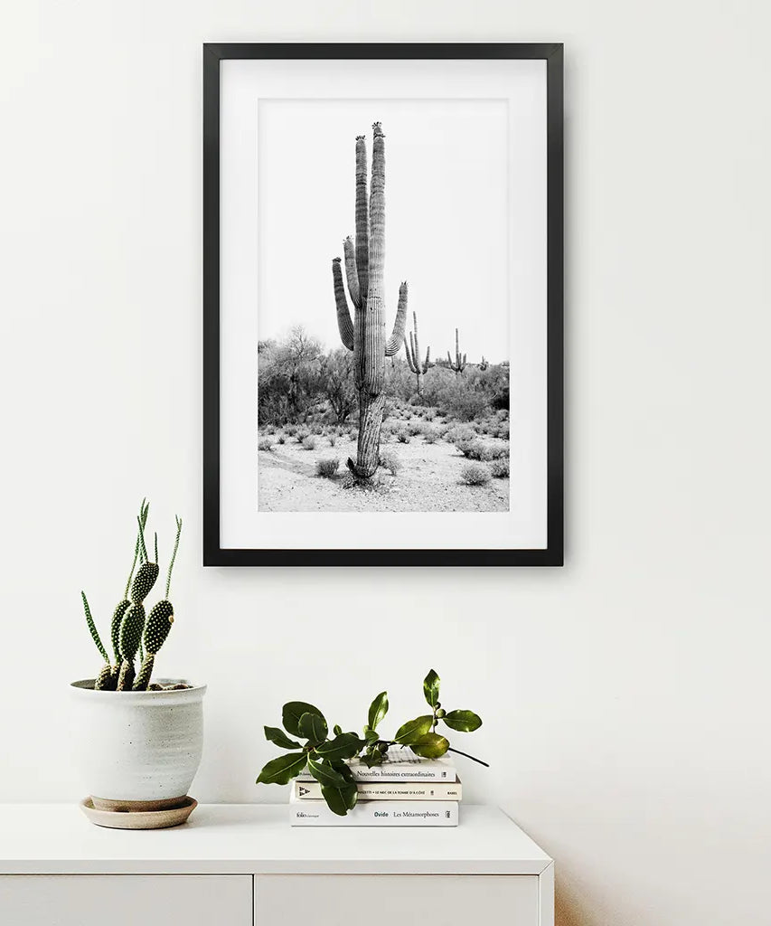 Schwarz-Weiß-Saguaro-Kaktus-Poster. Arizona Wüste Natur
