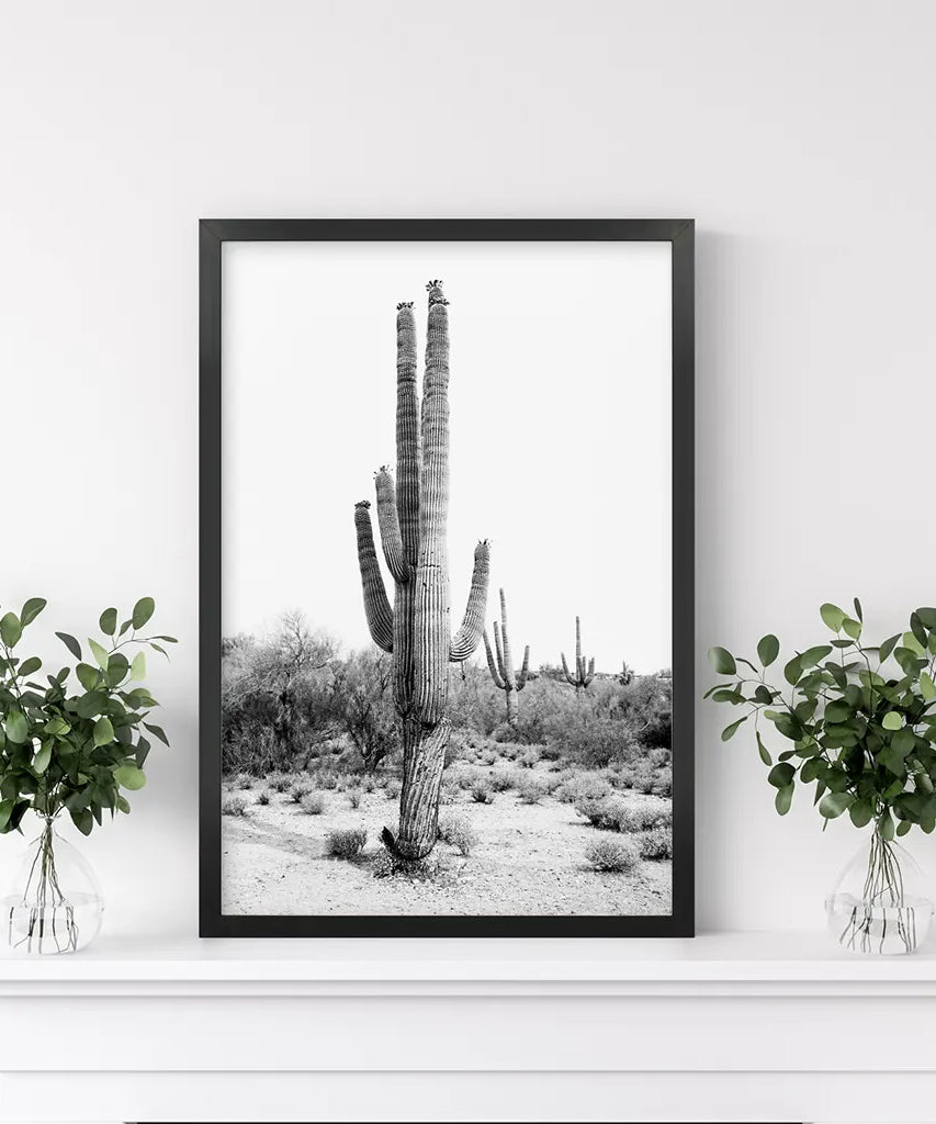 Schwarz-Weiß-Saguaro-Kaktus-Poster. Arizona Wüste Natur