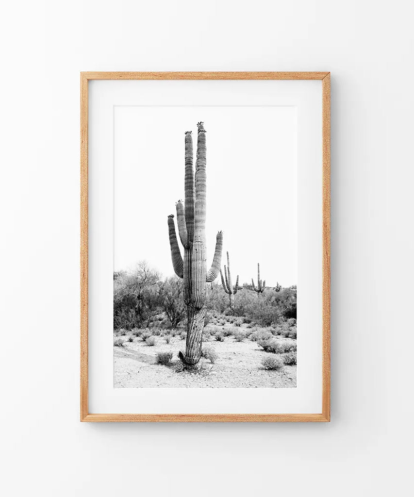 Schwarz-Weiß-Saguaro-Kaktus-Poster. Arizona Wüste Natur