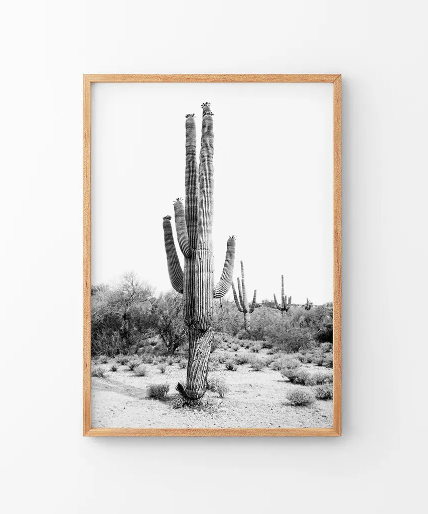 Schwarz-Weiß-Saguaro-Kaktus-Poster. Arizona Wüste Natur