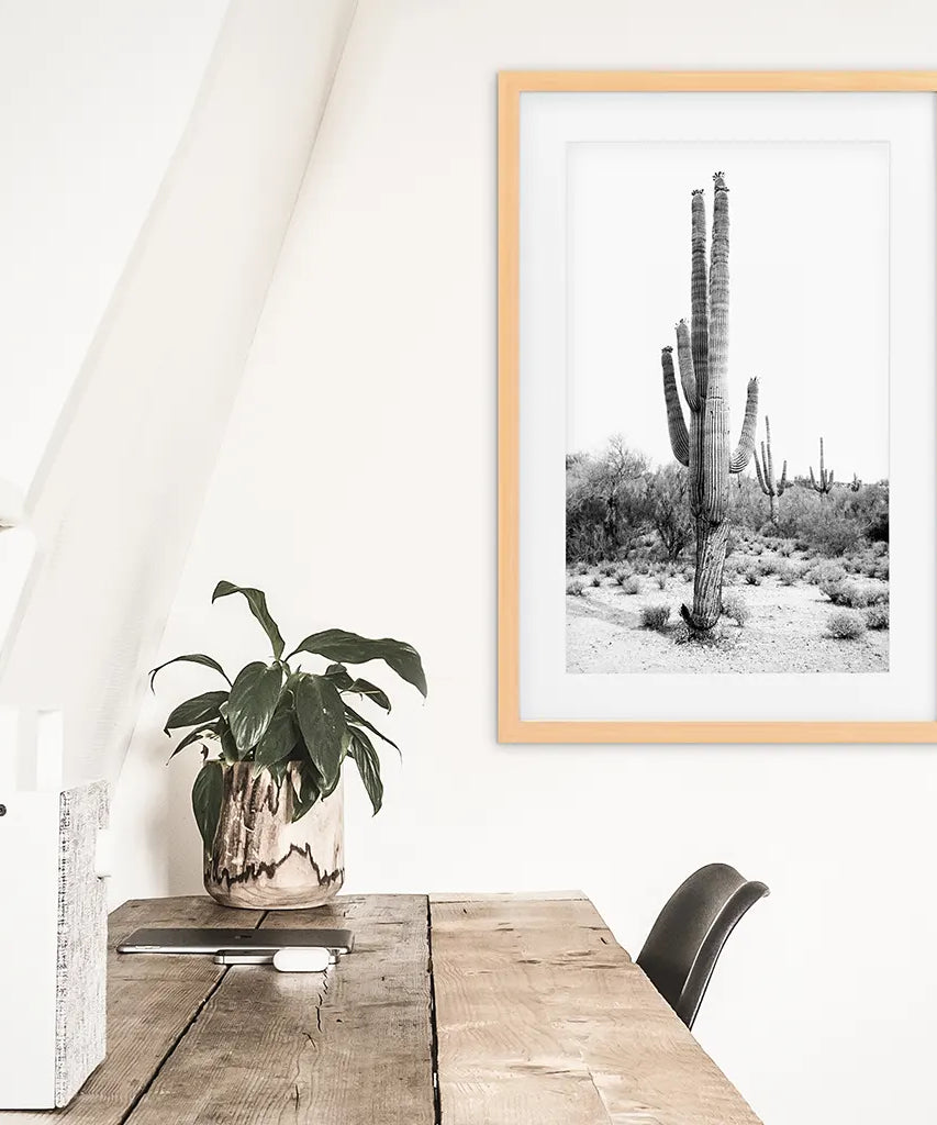 Schwarz-Weiß-Saguaro-Kaktus-Poster. Arizona Wüste Natur