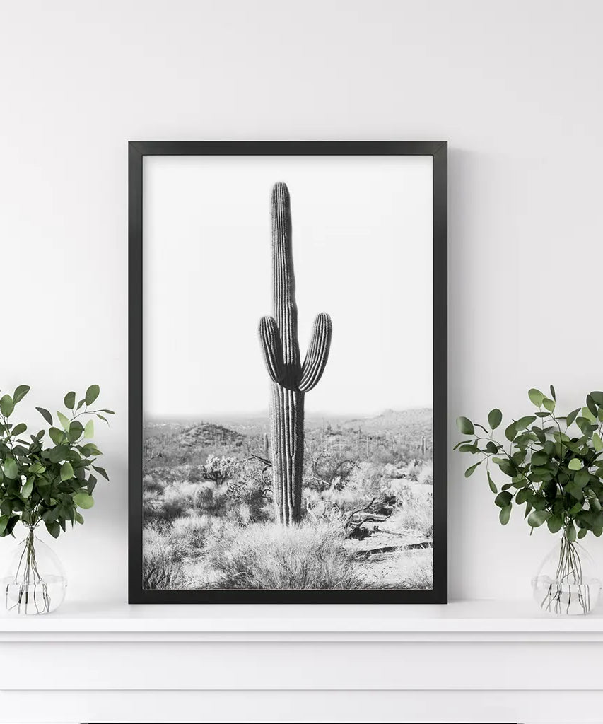 Saguaro-Kaktus-Druck. Schwarz-Weiß Arizona Wüste Natur
