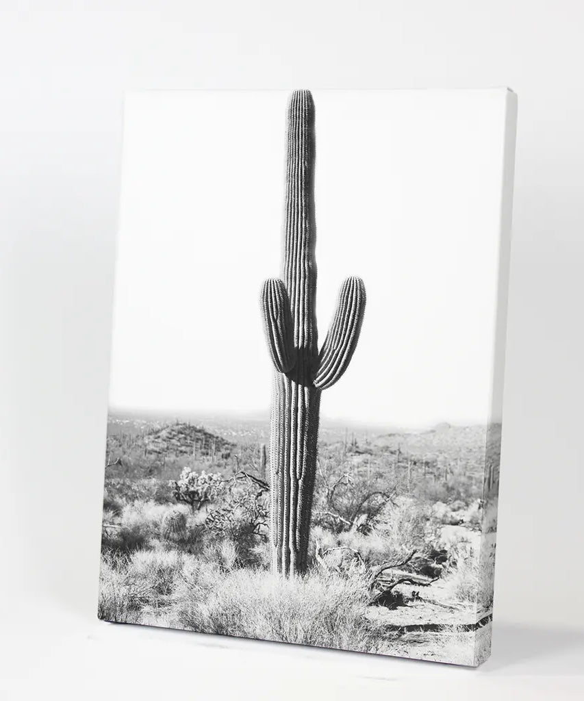 Saguaro-Kaktus-Druck. Schwarz-Weiß Arizona Wüste Natur
