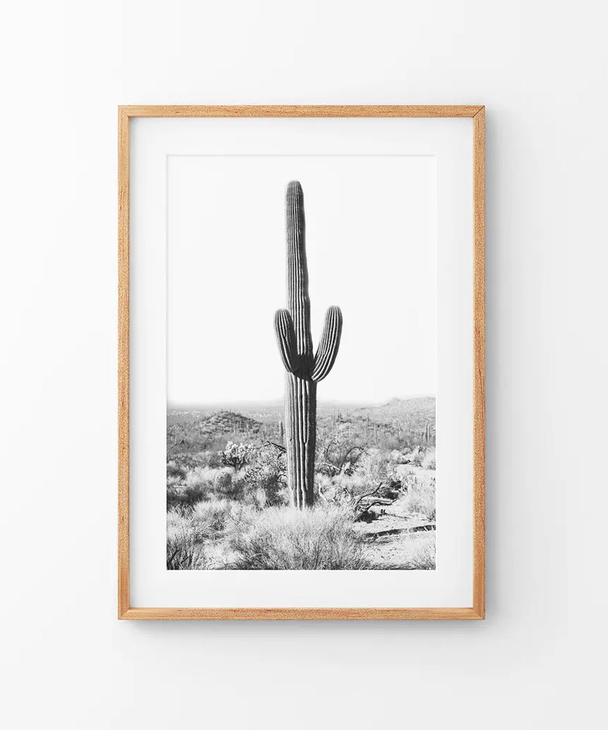 Saguaro-Kaktus-Druck. Schwarz-Weiß Arizona Wüste Natur