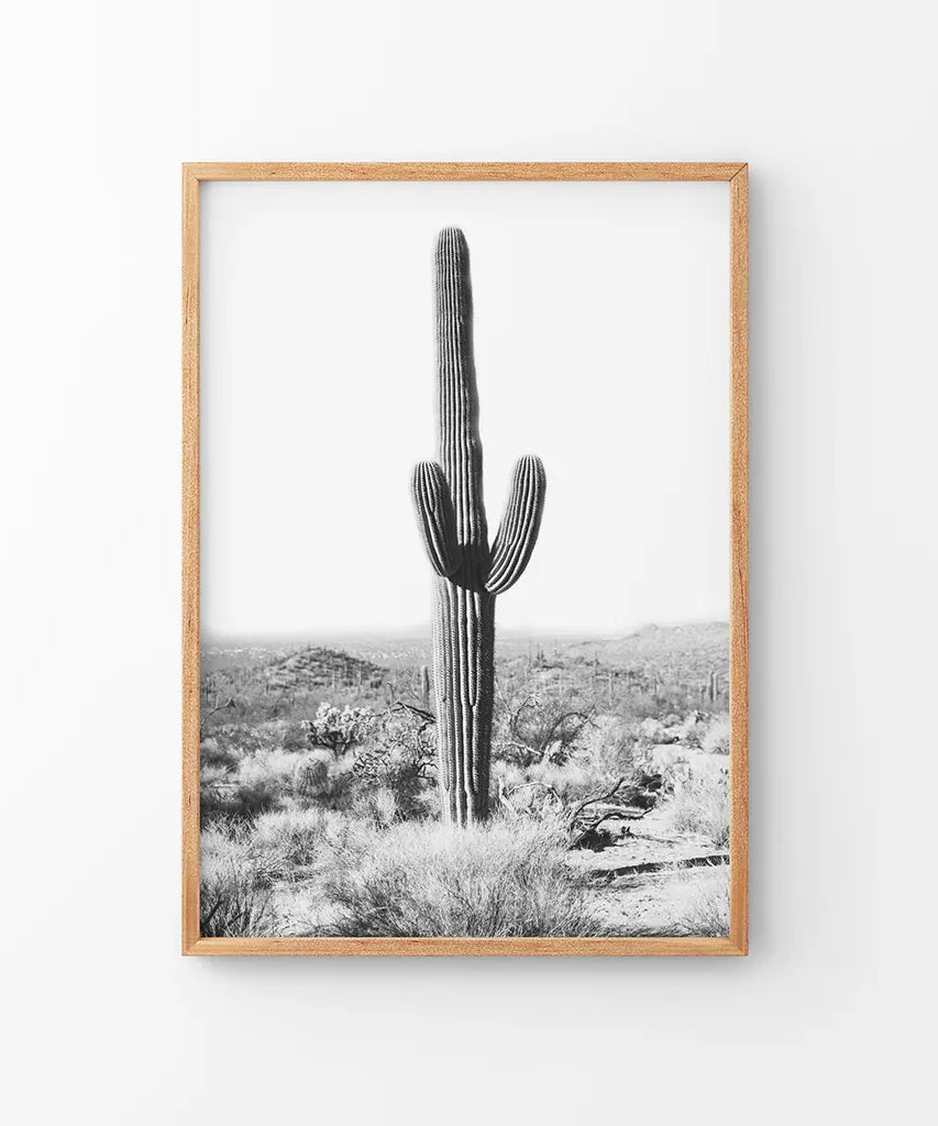 Saguaro-Kaktus-Druck. Schwarz-Weiß Arizona Wüste Natur