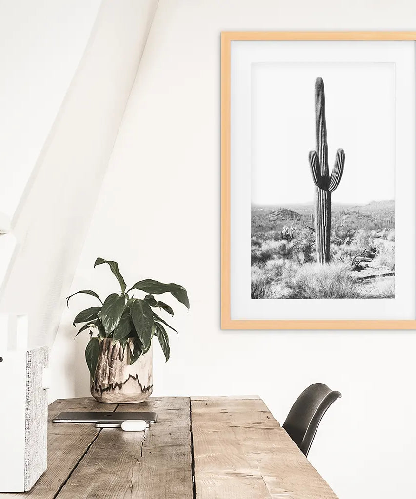 Saguaro-Kaktus-Druck. Schwarz-Weiß Arizona Wüste Natur