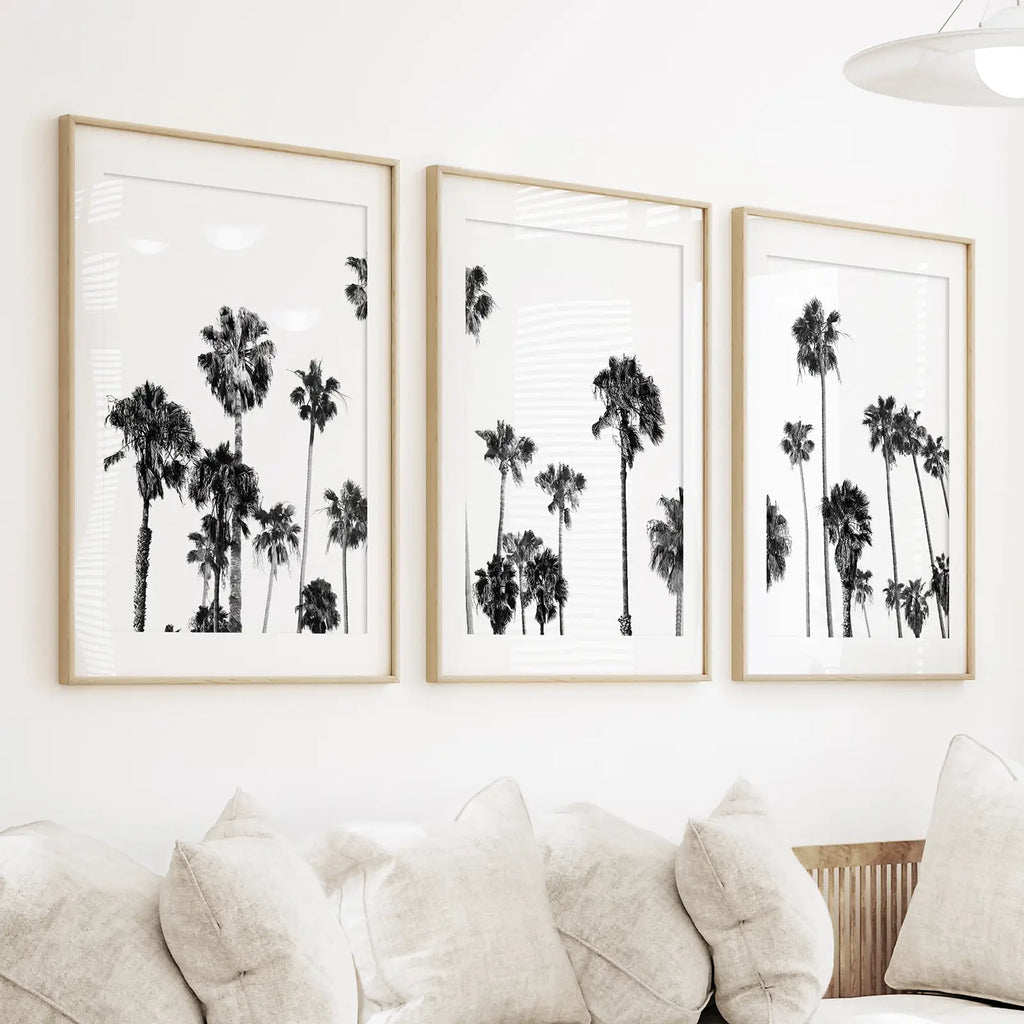 Black and White Palm Trees. Tropical Wall Art Set of 3 Prints