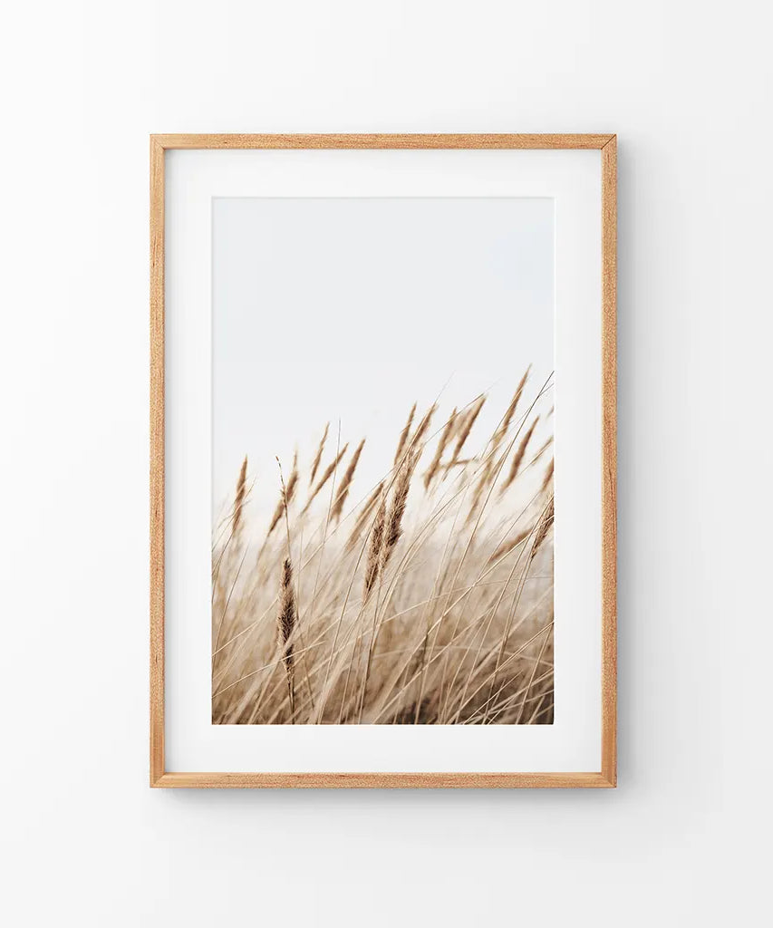 Böhmischer Pampasgrasdruck. Naturinspiriertes Thema