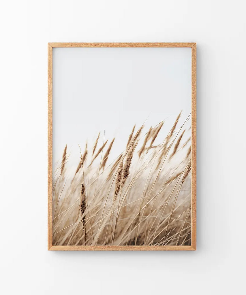 Böhmischer Pampasgrasdruck. Naturinspiriertes Thema