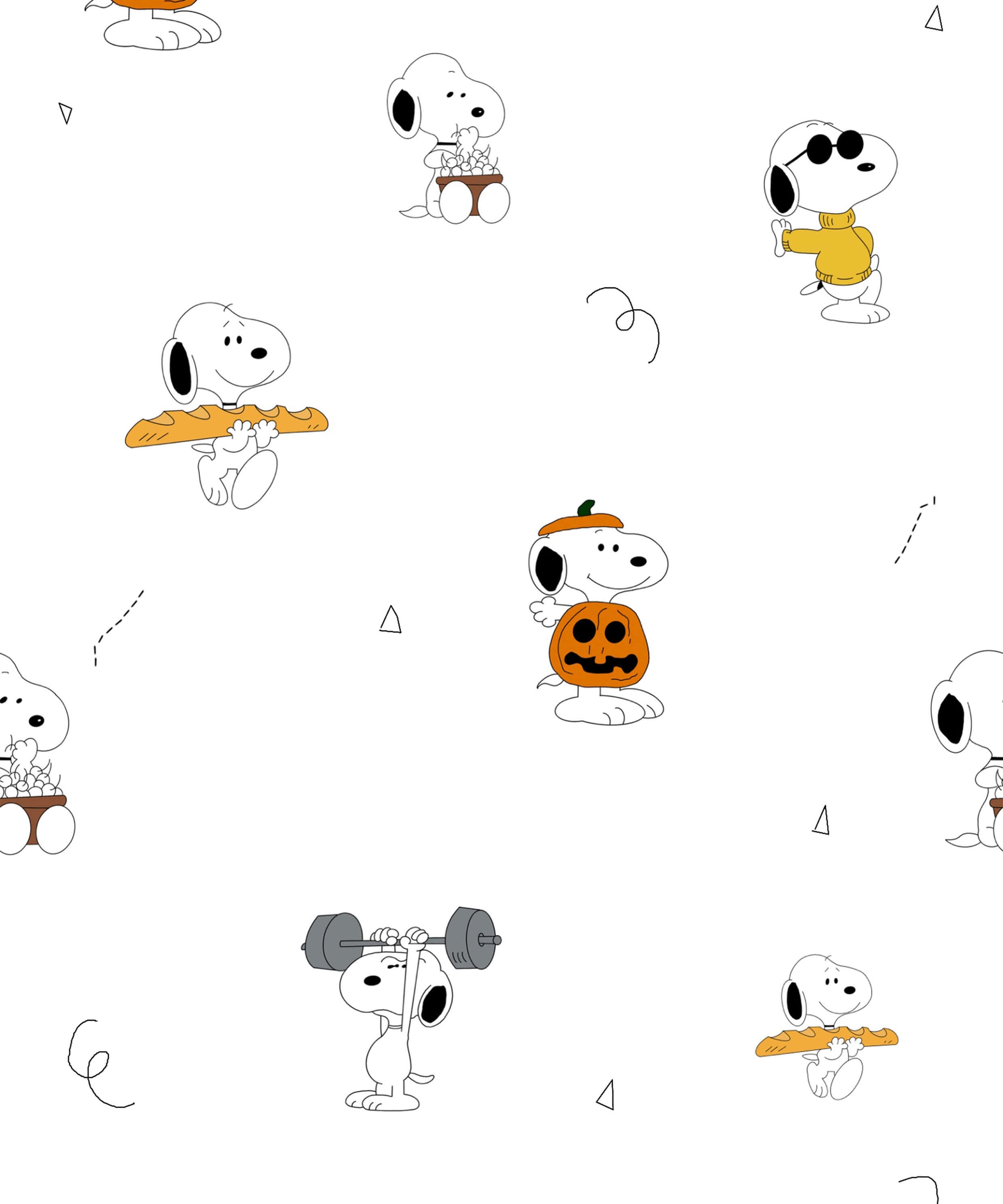 Cartoon Snoopy Printed Canopy