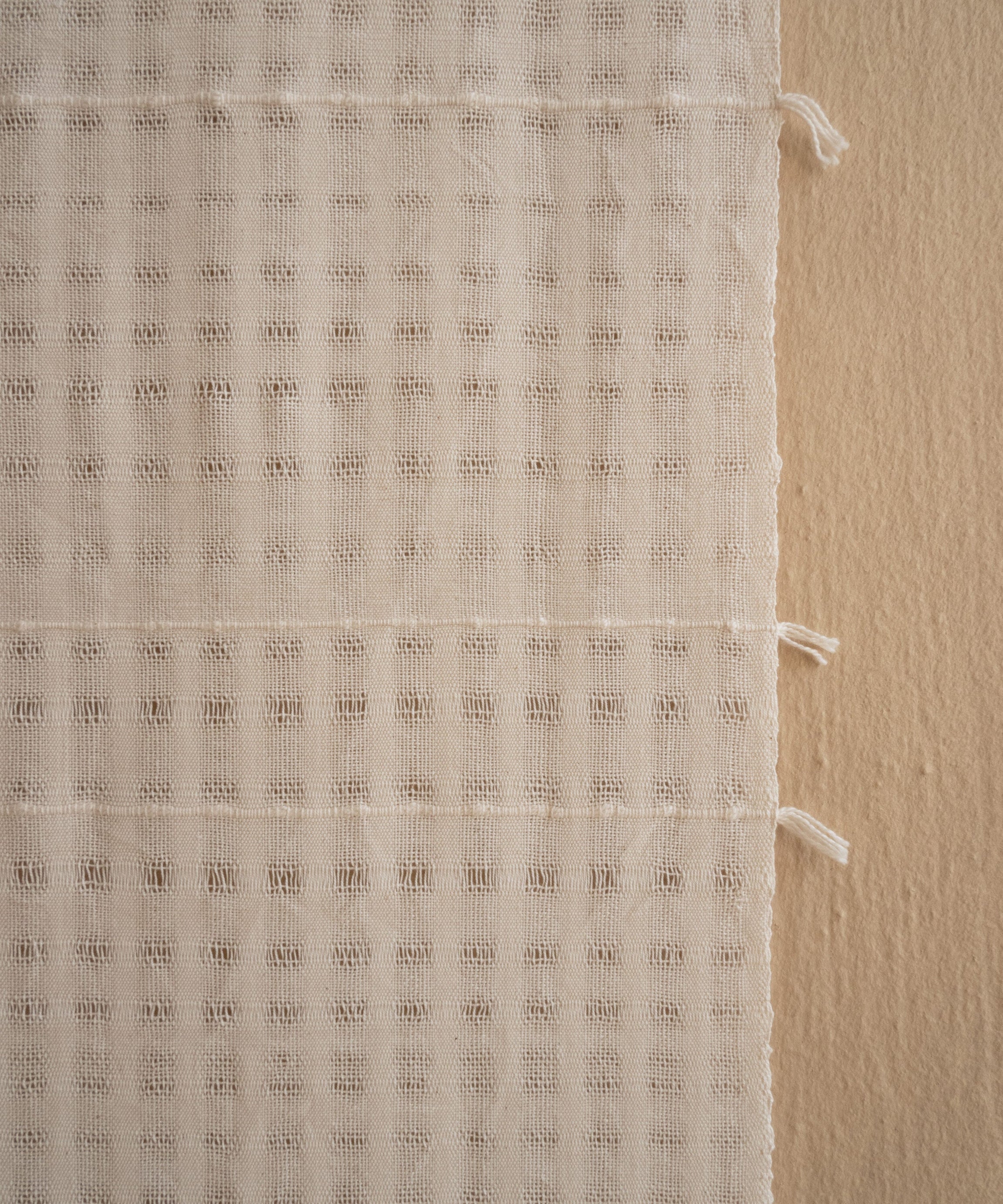 Chiaro Handwoven Cotton Wall Hanging