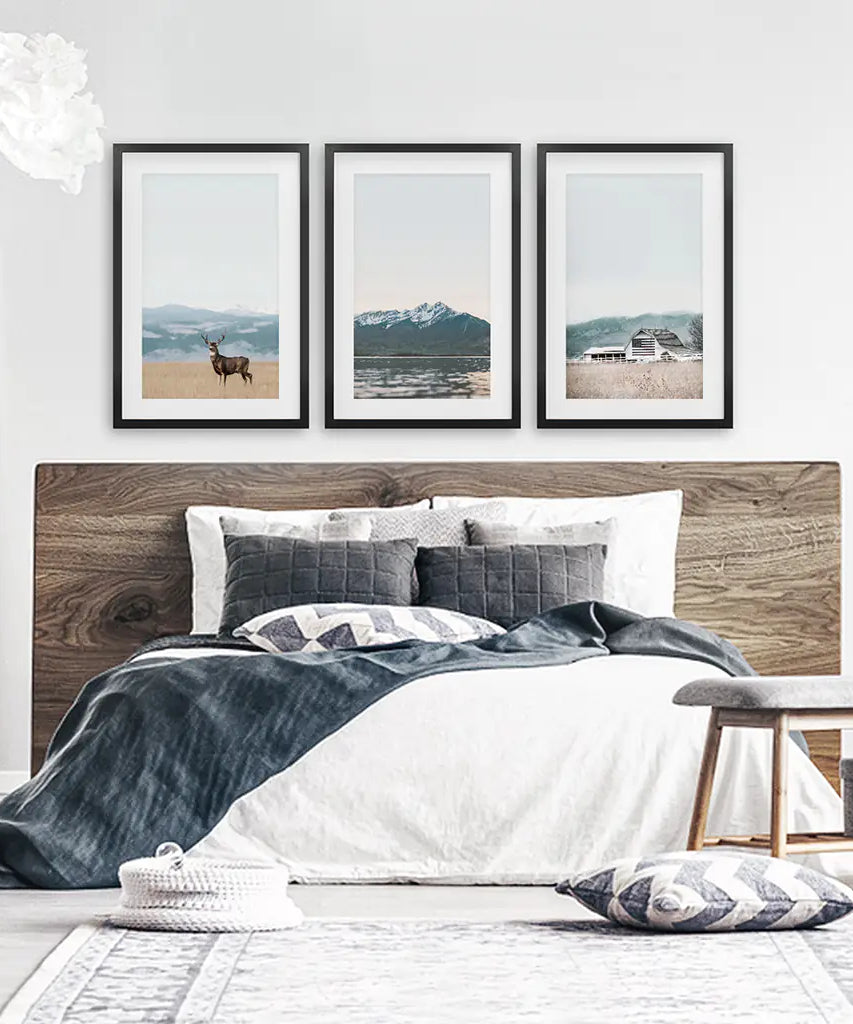 Set of 3 US Nature Photography. Colorado Travel Wall Art