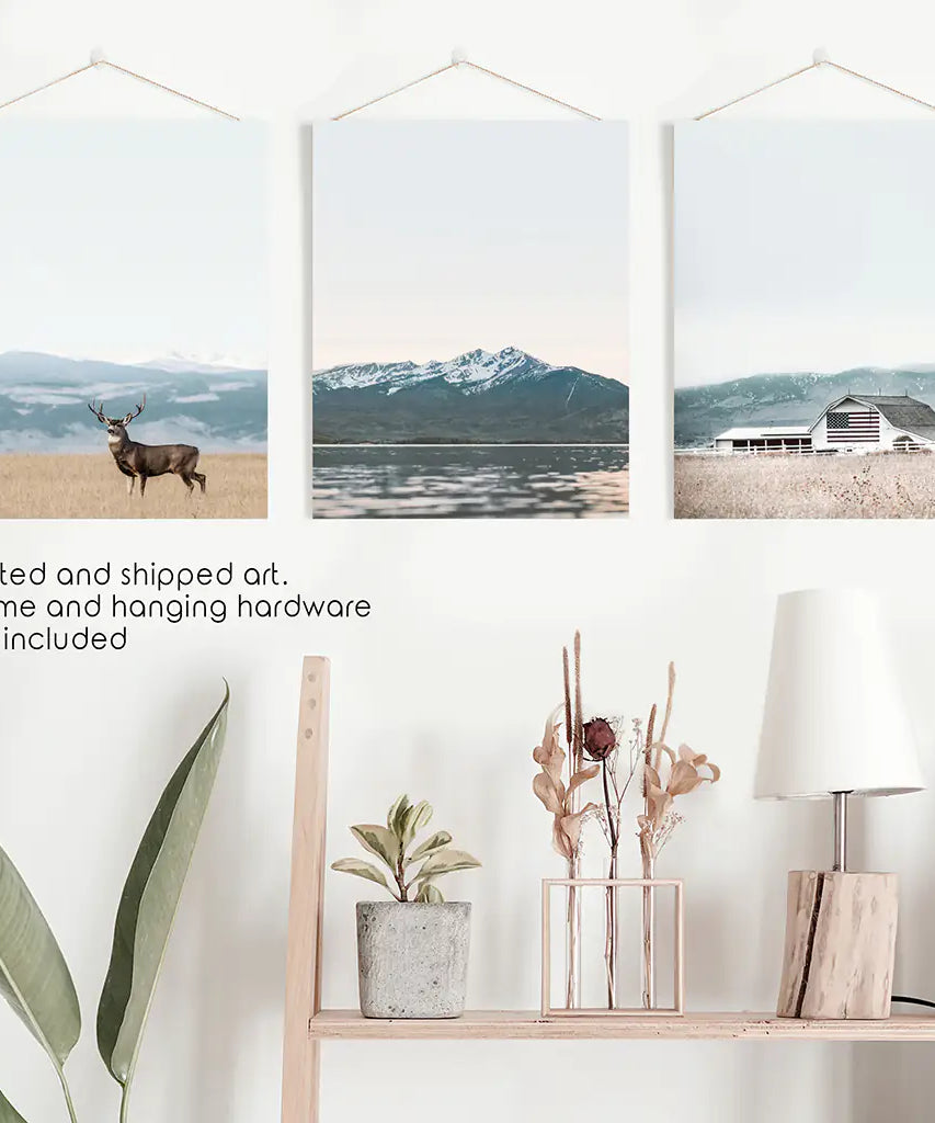 Set of 3 US Nature Photography. Colorado Travel Wall Art