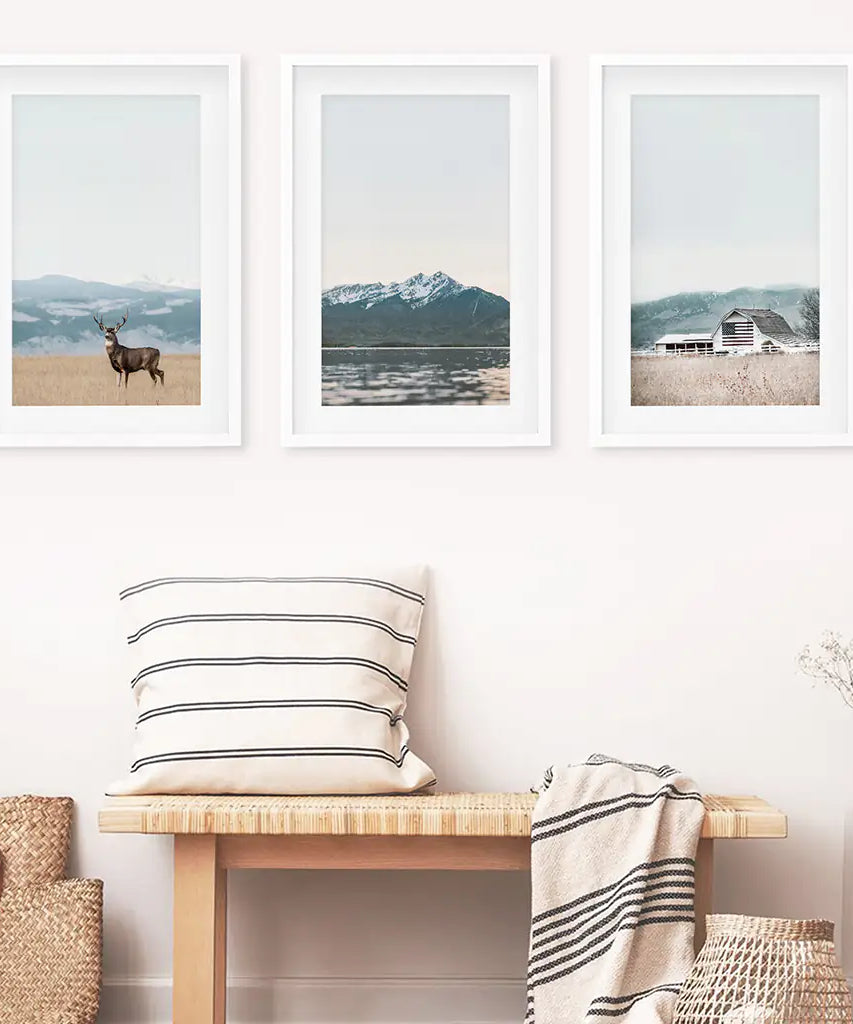 Set of 3 US Nature Photography. Colorado Travel Wall Art