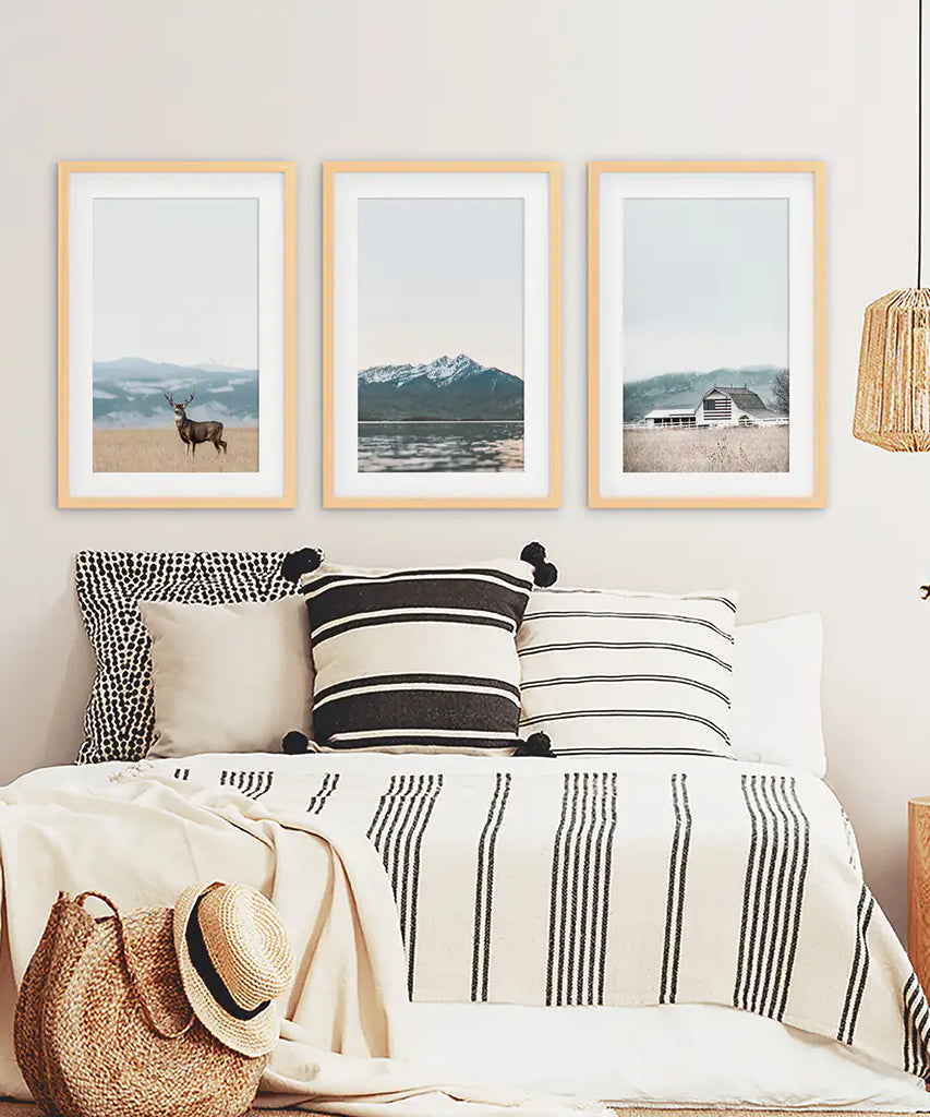 Set of 3 US Nature Photography. Colorado Travel Wall Art