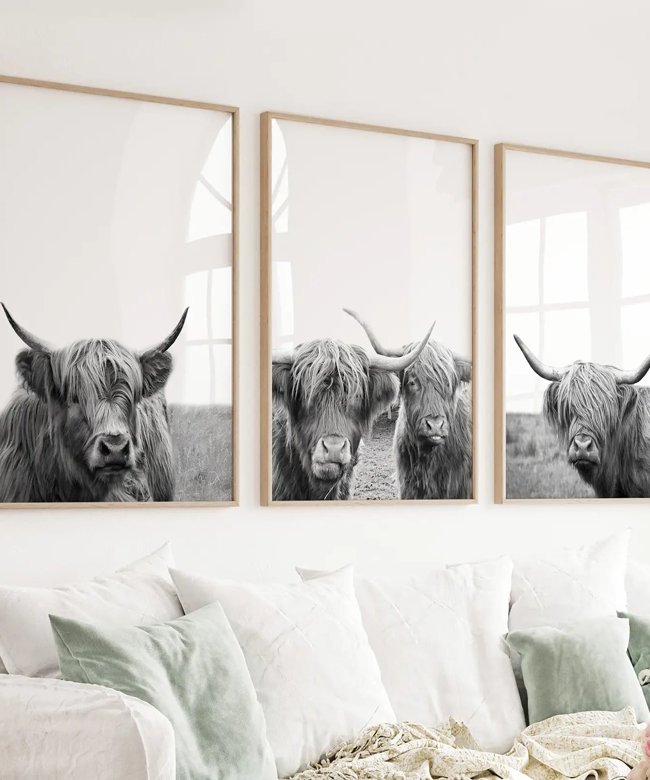 Black White Highland Cow Photo. 3 Piece Wall Art