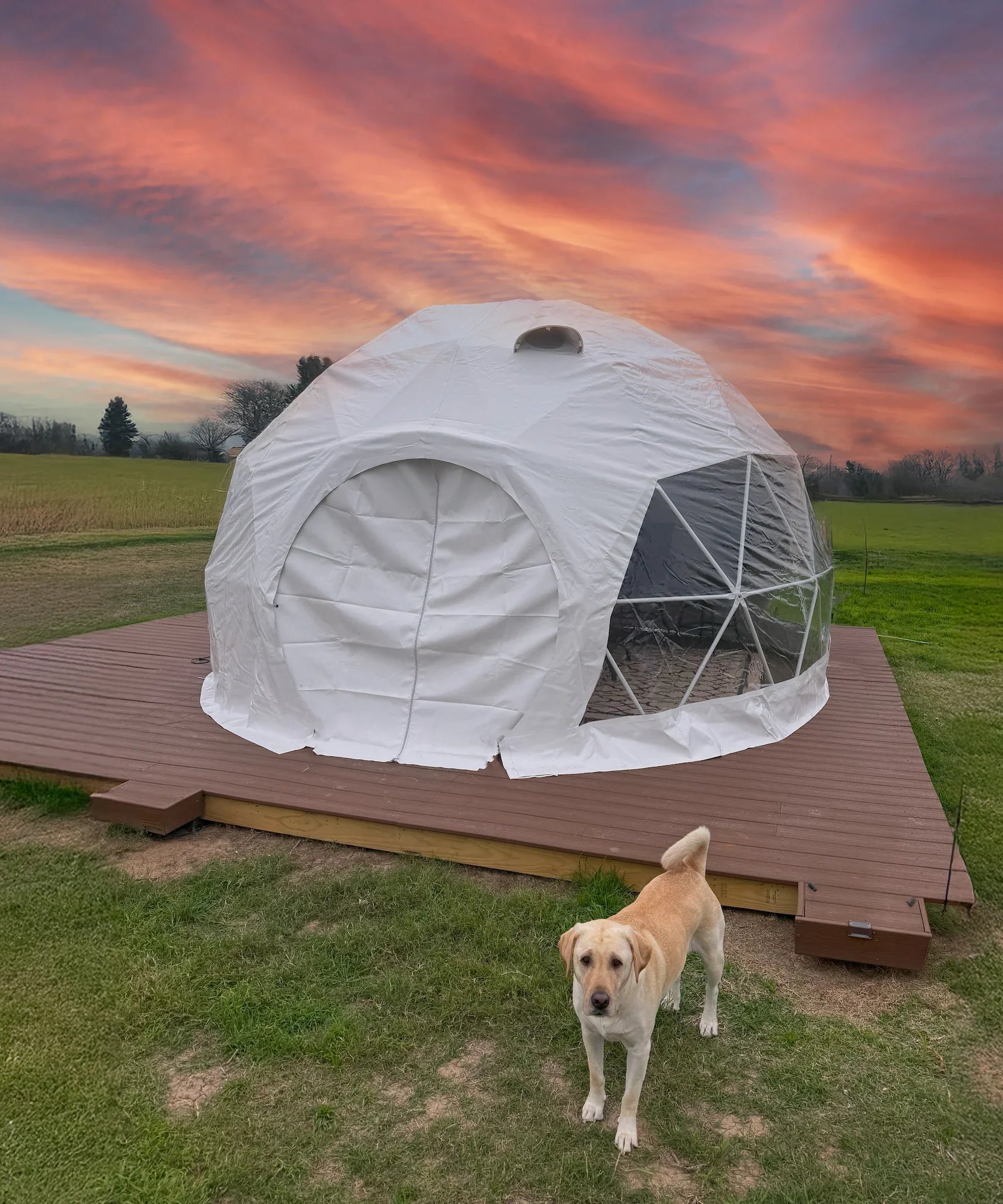 Geodesic Dome | 16-Foot | Made to Order*