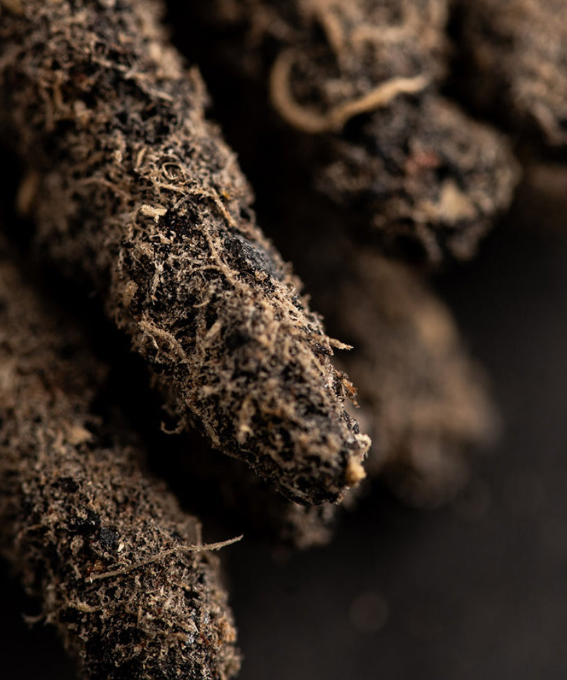 Cosmos Incense