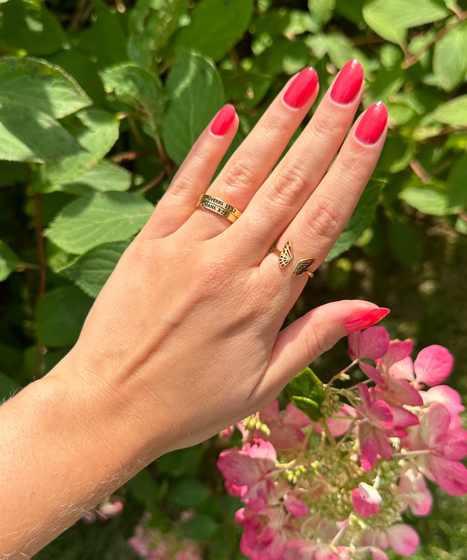 Proverbs 13:12 Ring