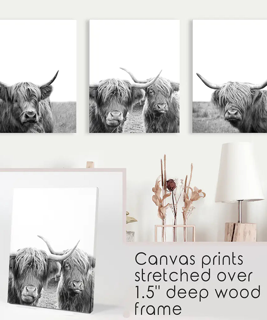 Black White Highland Cow Photo. 3 Piece Wall Art