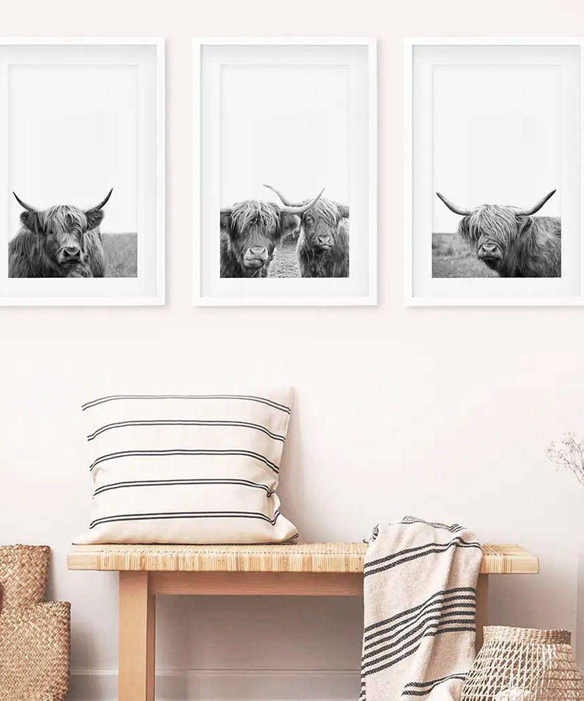 Black White Highland Cow Photo. 3 Piece Wall Art