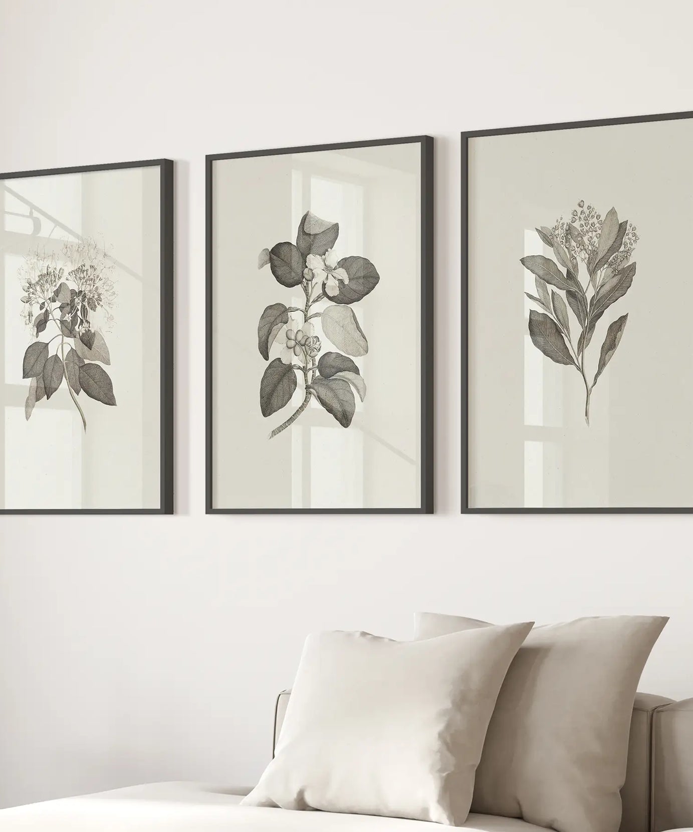 Antique Floral Prints 3 Piece Wall Art Decor