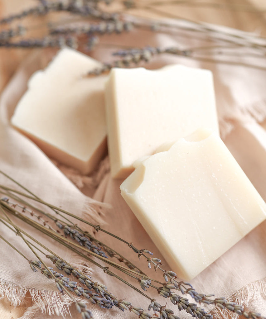 Fragrance Free Handmade Tallow + Goat Milk Soap Bar Trio