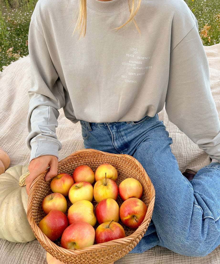 Fruit of the Spirit Grey LS Unisex Tee
