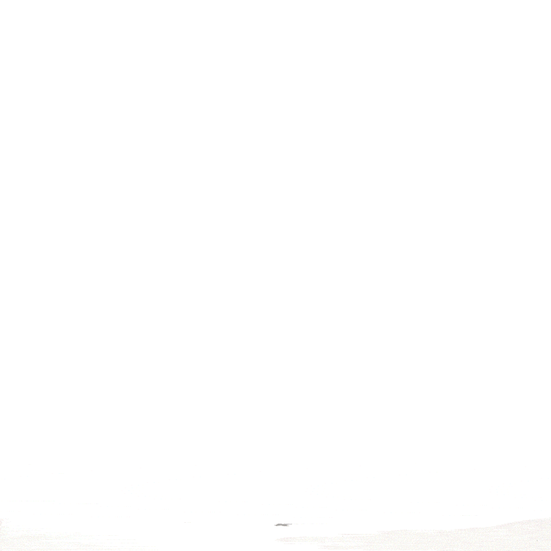 Grace 3-teiliges ausziehbares Retro-Gepäckset