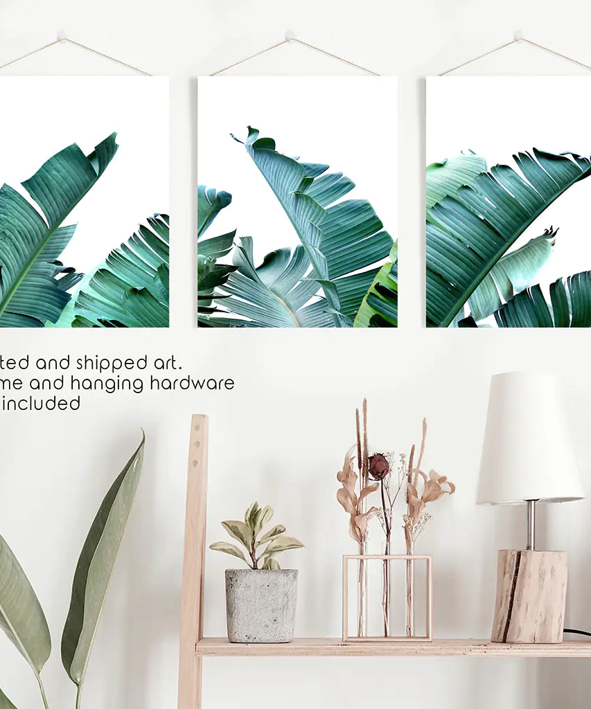 Green Banana Leaves 3 Piece Set. Tropical Wall Art