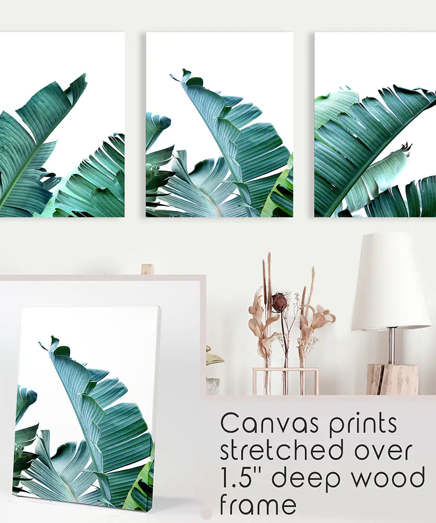 Green Banana Leaves 3 Piece Set. Tropical Wall Art