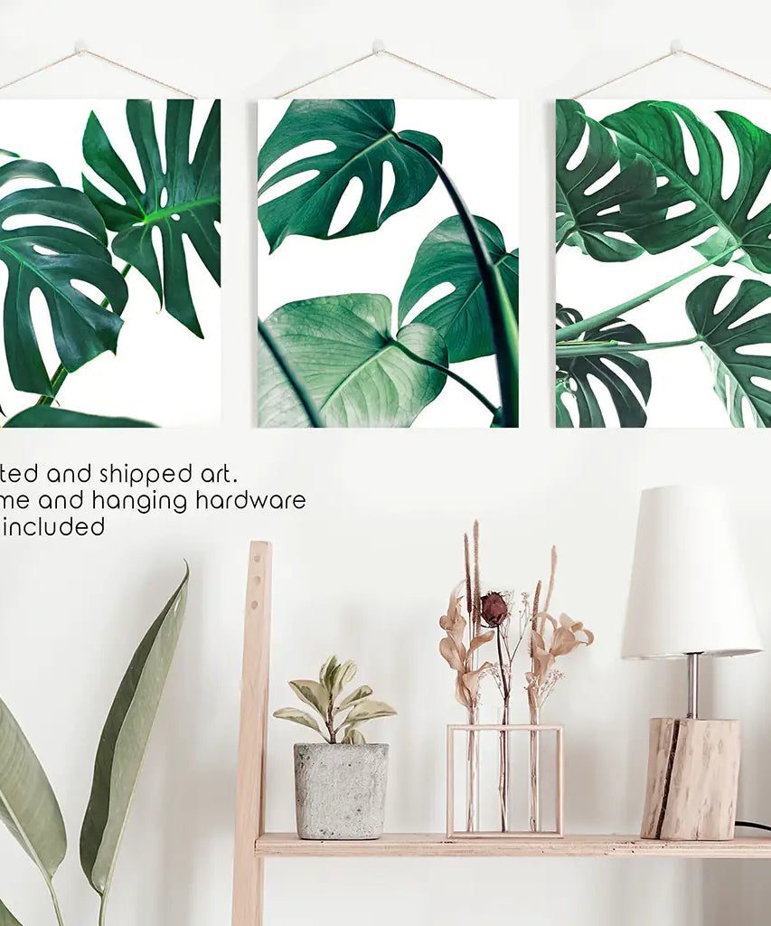 3 Piece Green Monstera Leaf Print Set. Tropical Decor
