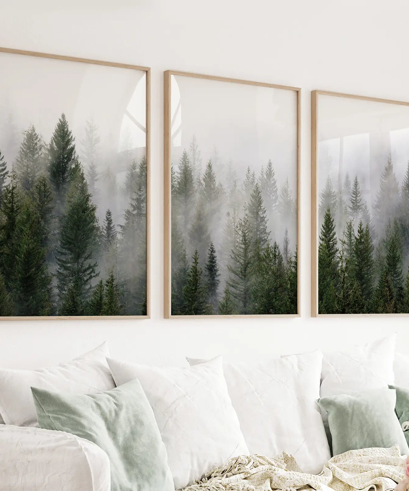 Green Pine Tree Forest. Foggy Nature Wall Art Prints