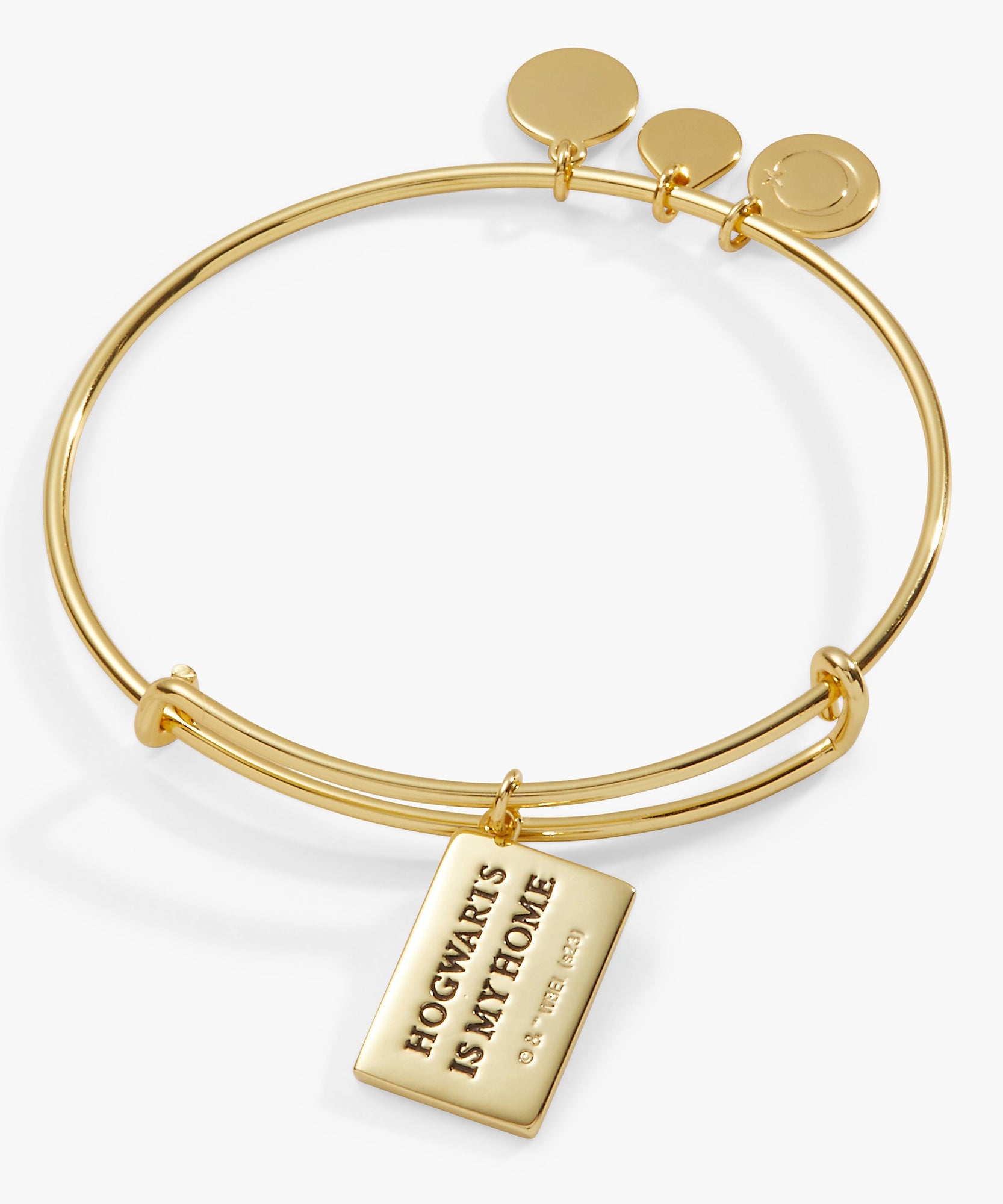 Harry Potter™ Acceptance Letter Charm Bangle