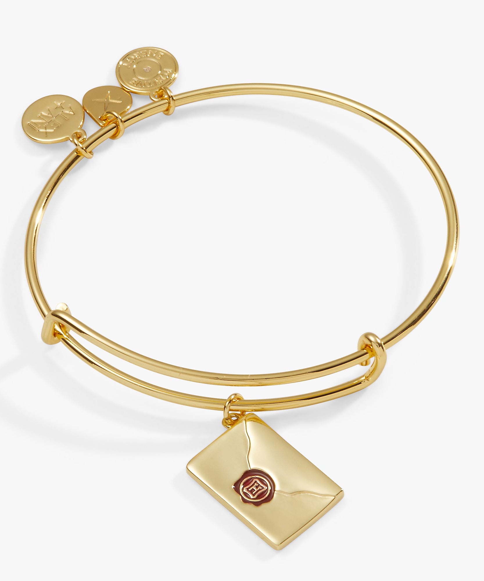 Harry Potter™ Acceptance Letter Charm Bangle