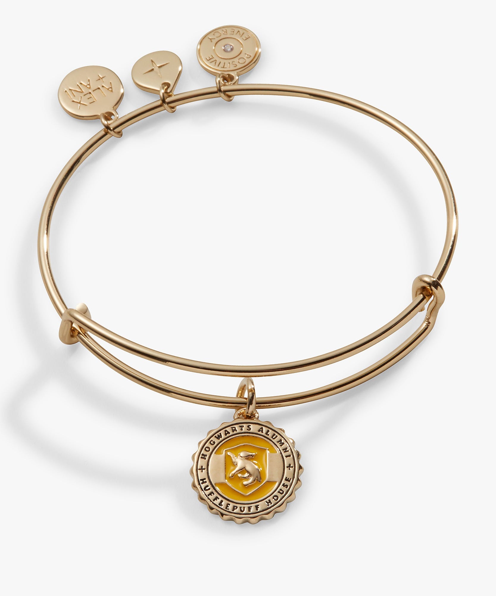 Harry Potter™ Hufflepuff House Charm Bangle