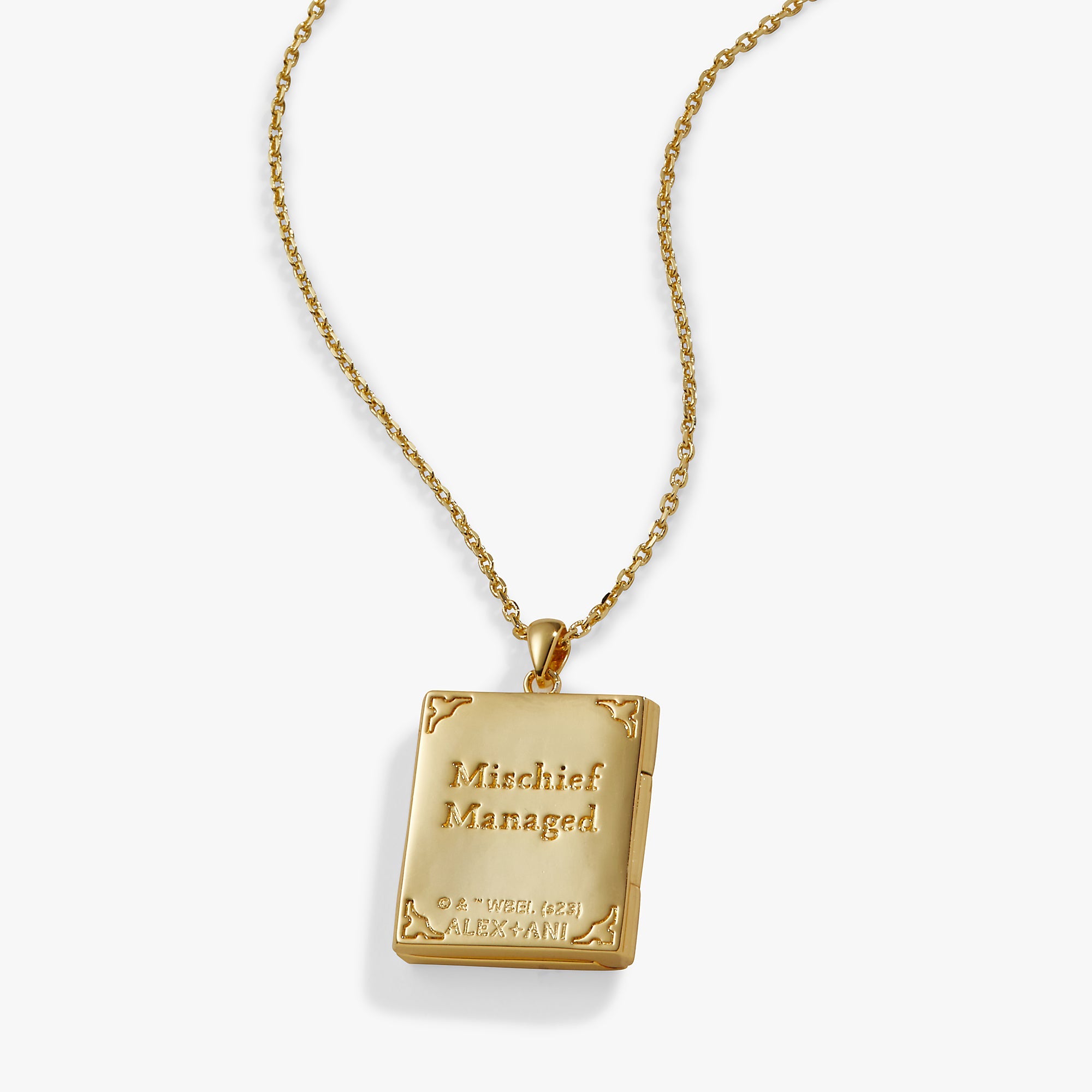Harry Potter™ Mischief Managed Locket Necklace