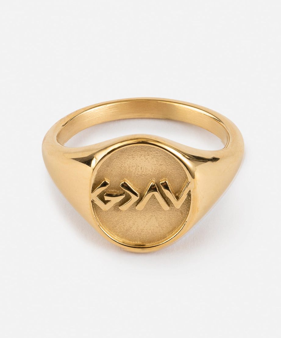 Highs and Lows Signet Ring