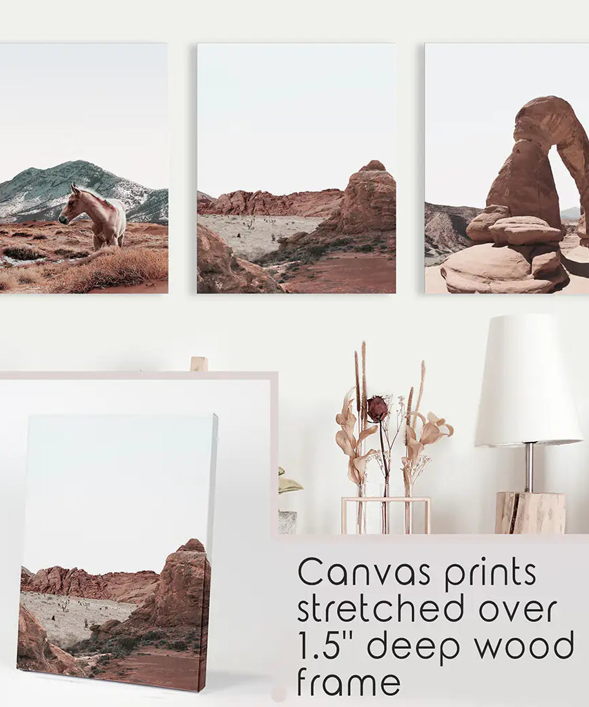 Arches National Park Wall Art Set. Horse in the Desert