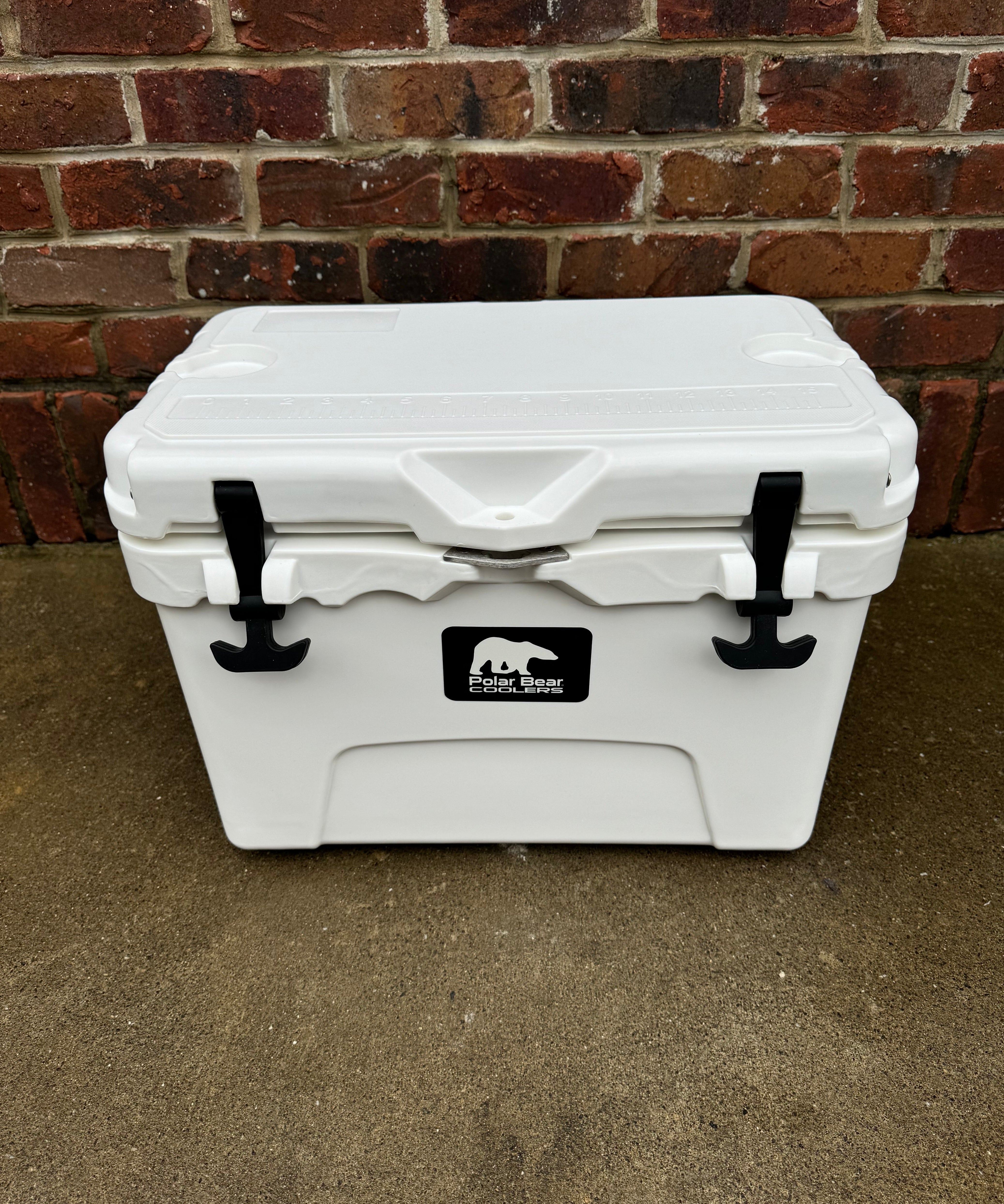 Polar Bear 20 Hard Cooler