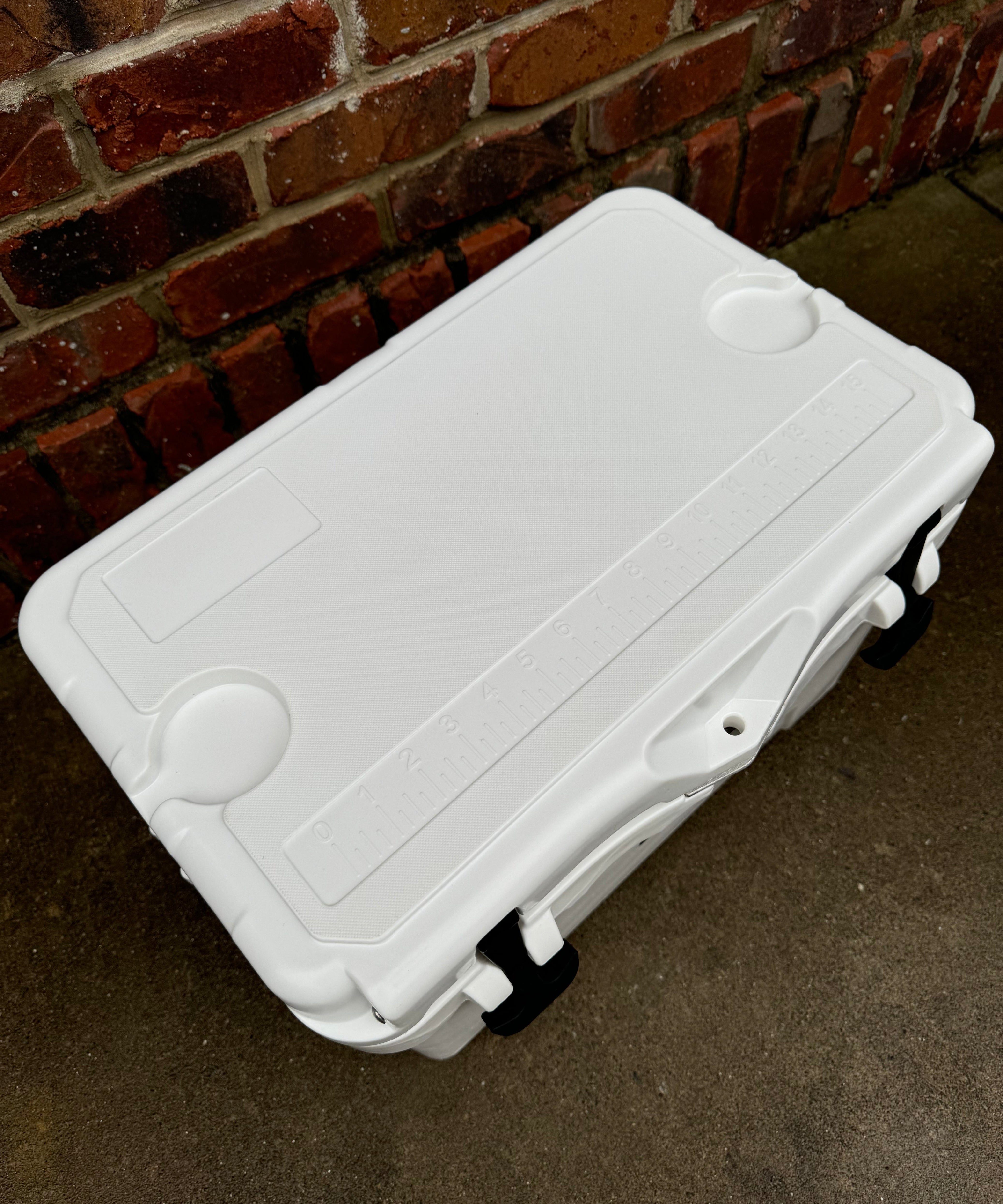 Polar Bear 20 Hard Cooler