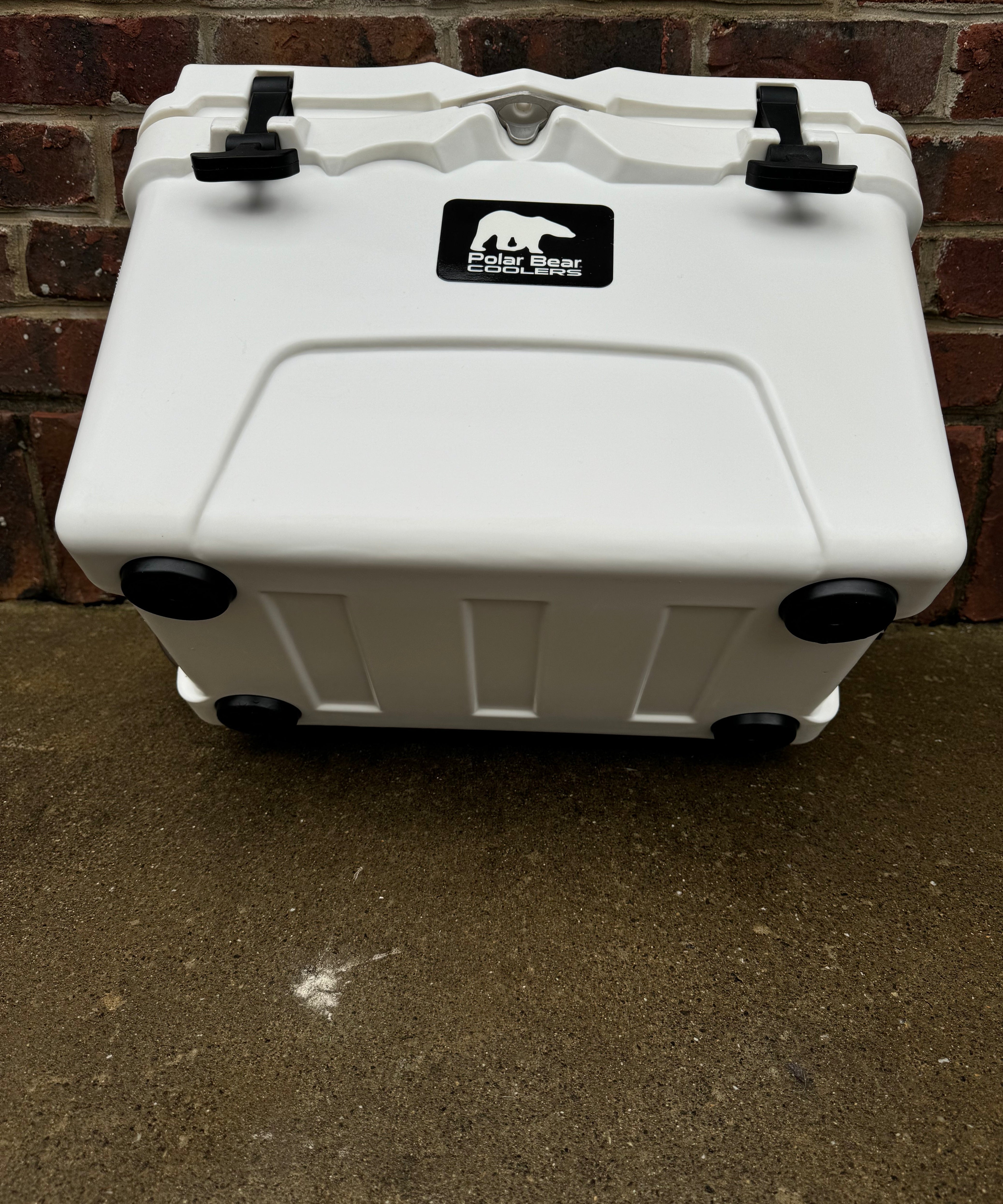 Polar Bear 20 Hard Cooler