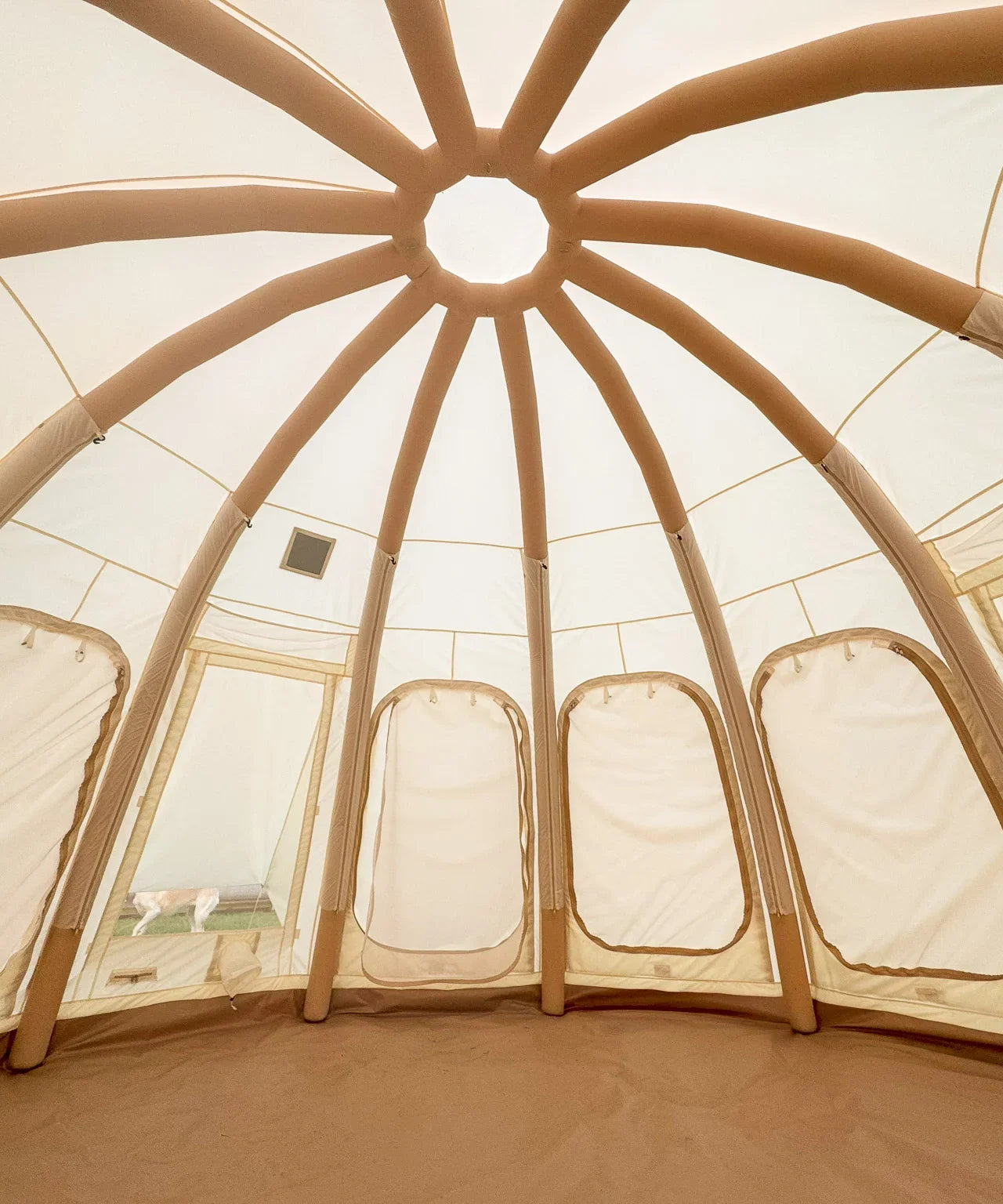 Jellyfish Air Beam Tent | 16-Foot