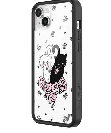 Kittens iPhone Case