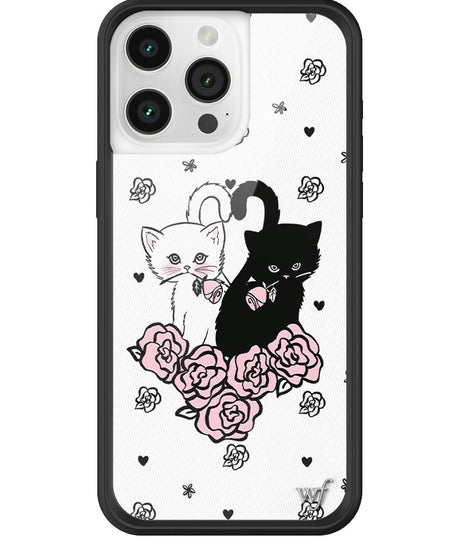 Kittens iPhone Case
