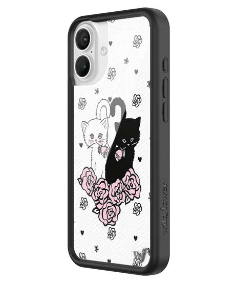 Kittens iPhone Case