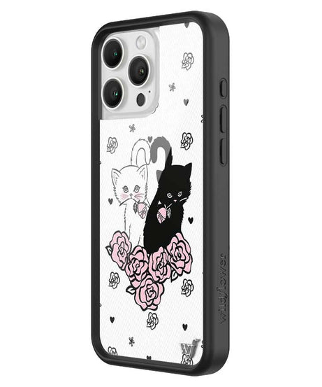Kittens iPhone Case